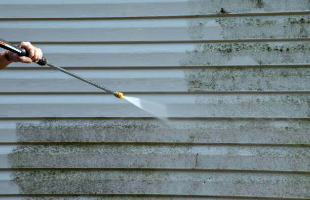 Best Deck Pressure Washing  in Kualapuu, HI