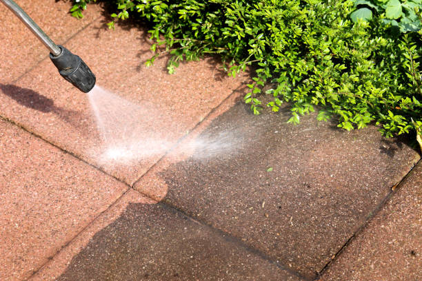 Best Sidewalk Pressure Washing  in Kualapuu, HI